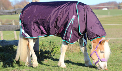 Review of the Buster 200g Turnout Rug 